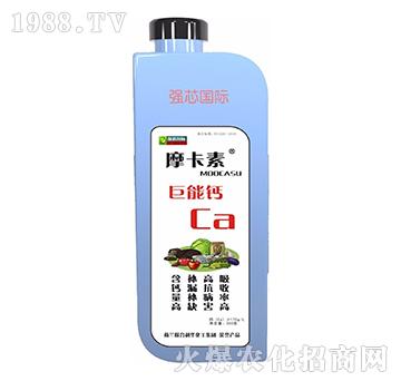 �����}-Ħ����-��(qi��ng)о��(gu��)