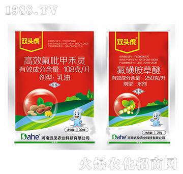 �󶹳��݄��M�����b-�p�^��-�hҊ�r(n��ng)�I(y��)