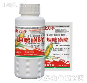 4%���׻�¡-�f���t-