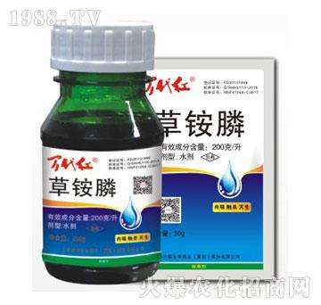 200��ÿ�����@�-�f���t-�G��