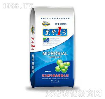 ΢�������-��ţ1̖-��ţ�ʘI(y��)