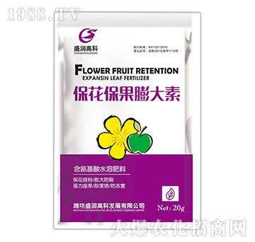 �������������-ʢ���߿�