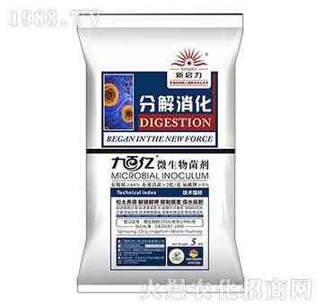 ΢�������-�ֽ�����-