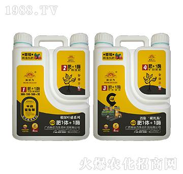 ��ݮ���ã������~ʢ��-