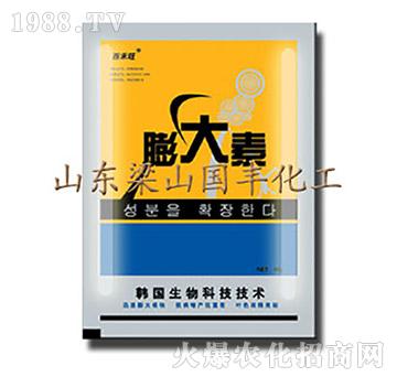 �����-��ɽ���S