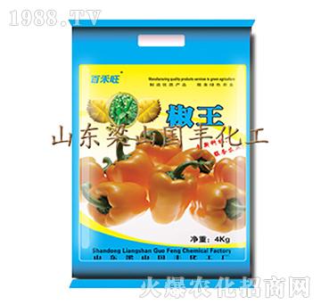 ����-��ɽ���S