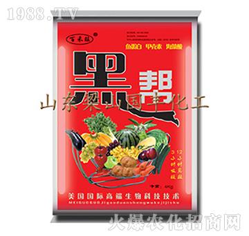 �ڎ�-��ɽ���S