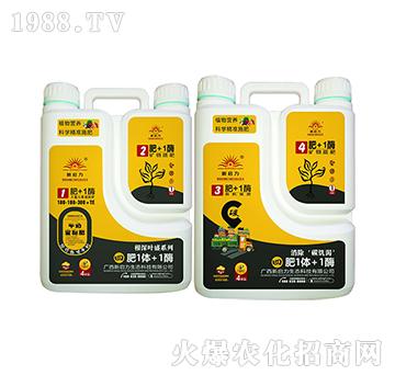 ֲ��I�B(y��ng)�������~ʢ��-