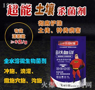 ����������������������-�FѪ��-�~�S�ѳ�����