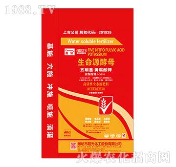 40kg���������S����