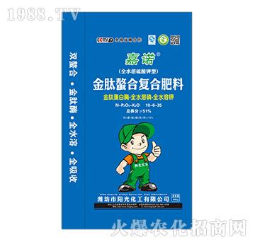 �������Ϗ�(f��)�Ϸ���10-