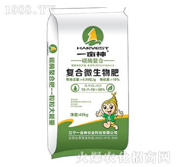 ̼ø���Ϗͺ�΢�����-һ����