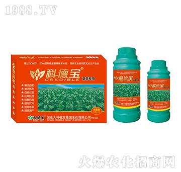 ���݌��àI�B(y��ng)���a(ch��n)�{(di��o)�턩-�Ƶ�