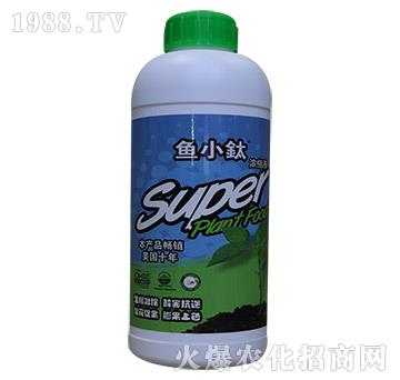 �~����-�~С�-���º���