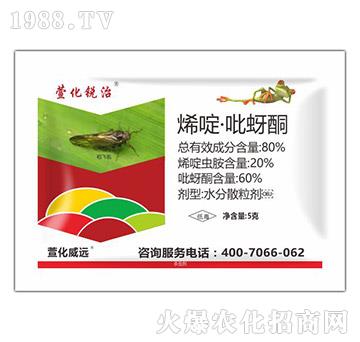 80%ϩड�����ͪ-��