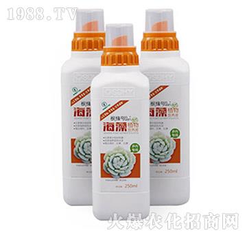 ����ֲ��I(y��ng)�B(y��ng)Һ-���⌣(zhu��n)����