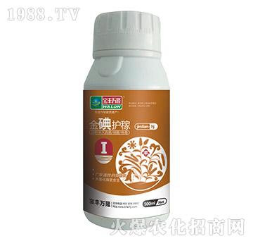 ����o��-���S�f¡