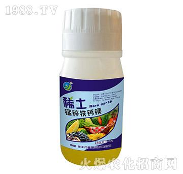 ϡ���i�\�F�}�V-���S�f