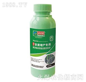 �������a(ch��n)���øߝ�s����