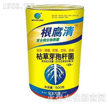 �ݲ�ѿ�ߗU��-������-