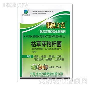 ����s����΢�������-