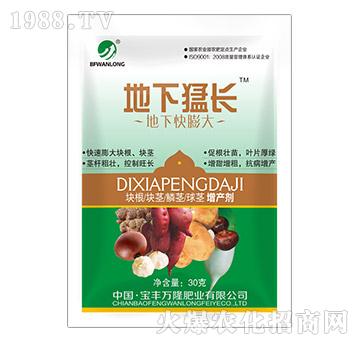 ���¿����-�������L-