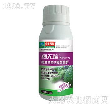 ΢��������ͺϾ�Ⱥ-��