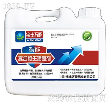 �ͺ�΢�������-̼��-