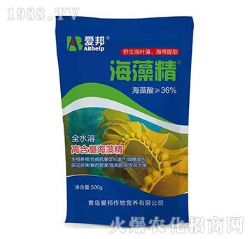 ���徫-�۰�