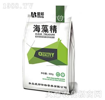 ����s΢̼��������̼���-���徫-�۰�