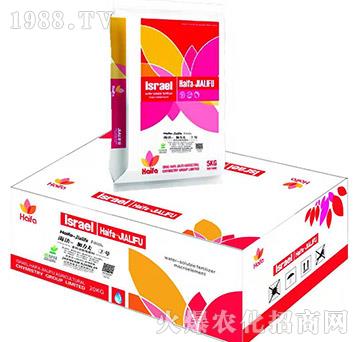 �����������̖(h��o)-�ߵ���