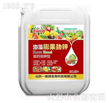 ���}�����-����������-Ҽ������