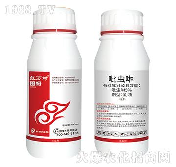 5%���x��-����-���˹����r(n��ng)��