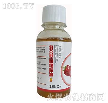 �ͺ���ֲ�ﾫ��-��ʢֲ��