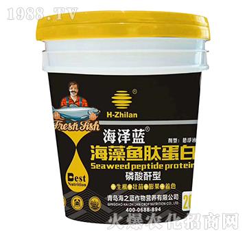 �������ͺ����~����-�����{(l��n)