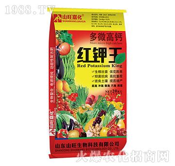 �t���-��΢���}-ɽ��