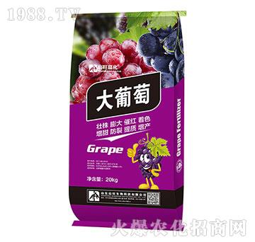 ������-ɽ������