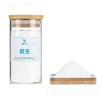 ����-�������