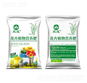 ����ֲ��I�B(y��ng)��-�ڱ���