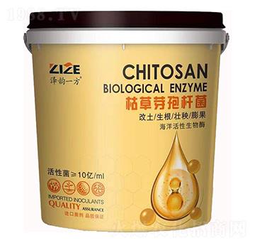 枯草芽孢桿菌-中農恒大