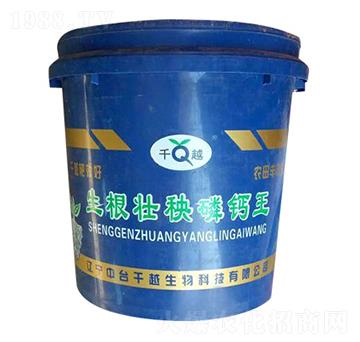 �����������}��-ǧԽ����