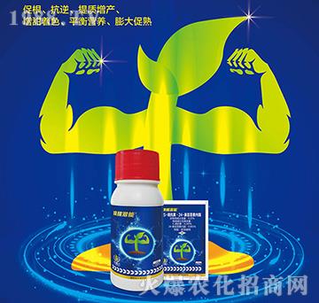 ���ѝ���-С����