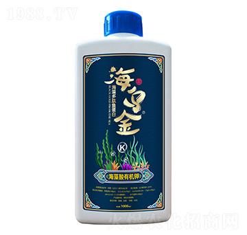 ��������~(y��)����-������-��������