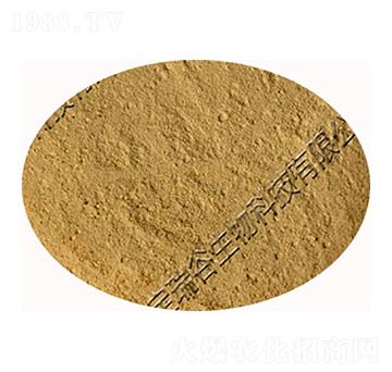 �ͺ�ѿ�ߗU��-�������