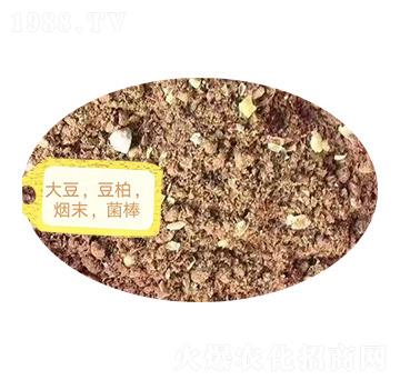 ������������ĩ��������-�Z�M�}(c��ng)