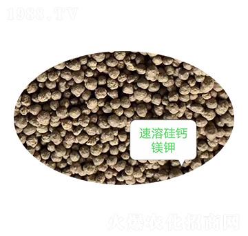 ���ܹ��}�V�-�Z�M�}(c��ng)