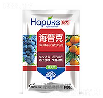 ِ�����տ�-�����Ƽ�