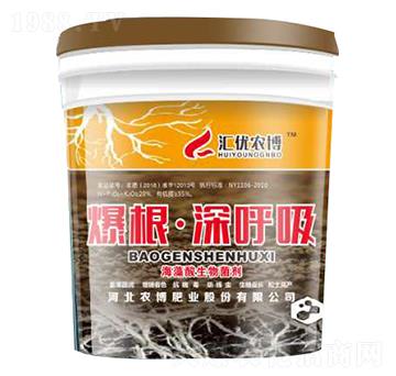 �����������-�R��(y��u)�r(n��ng)��-�r(n��ng)���ʘI(y��)