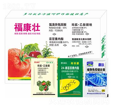 ������-�滯���h