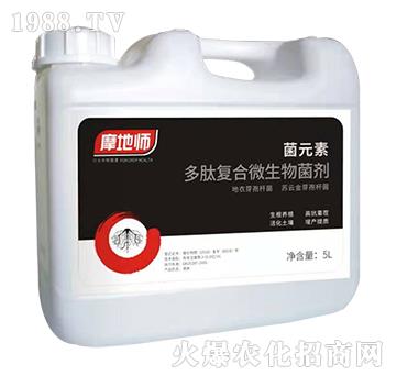 ���ď�(f��)��΢�������-��Ԫ��-�������r(n��ng)